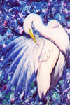everglades angel tn.jpg (17847 bytes)