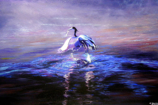 heron in the shallows 2.jpg (68990 bytes)